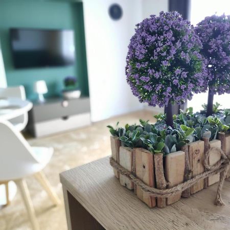 Apartament Karpaty Krynica Zdroj Luaran gambar