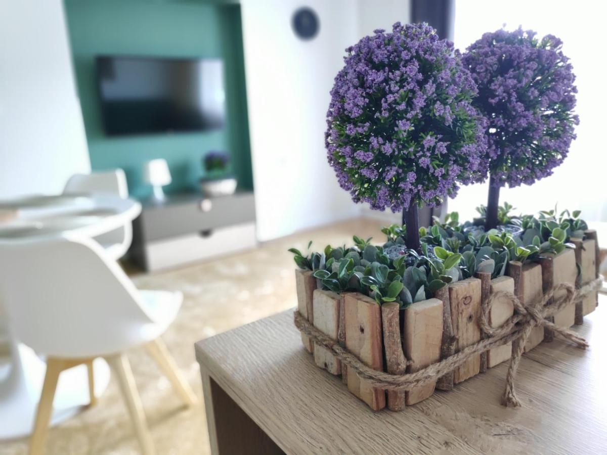 Apartament Karpaty Krynica Zdroj Luaran gambar